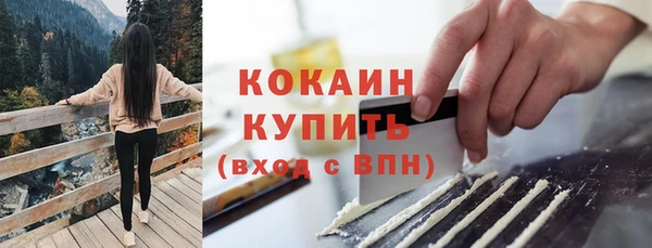 шишки Тобольск