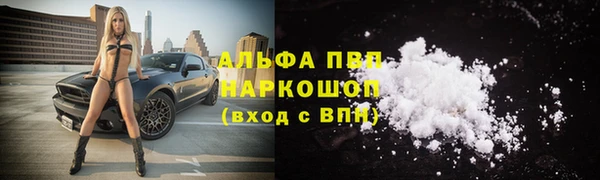 ГАЛЛЮЦИНОГЕННЫЕ ГРИБЫ Гусев