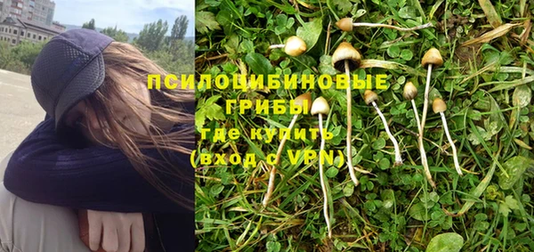 МДПВ Гусь-Хрустальный