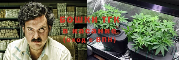 гашик Горнозаводск