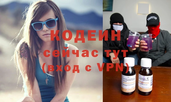 ГАЛЛЮЦИНОГЕННЫЕ ГРИБЫ Гусев