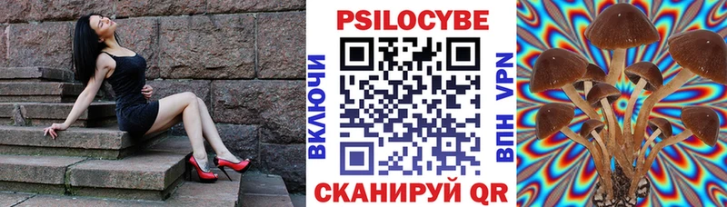 darknet клад  Заозёрск  Галлюциногенные грибы мицелий 